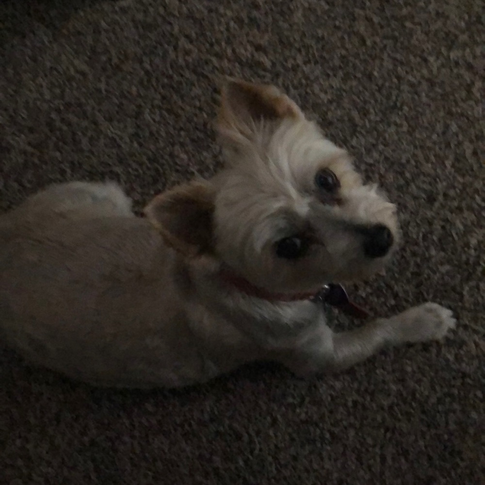 Meet your Posher, Mary